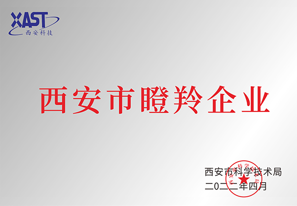 西安市瞪羚企業(yè)
